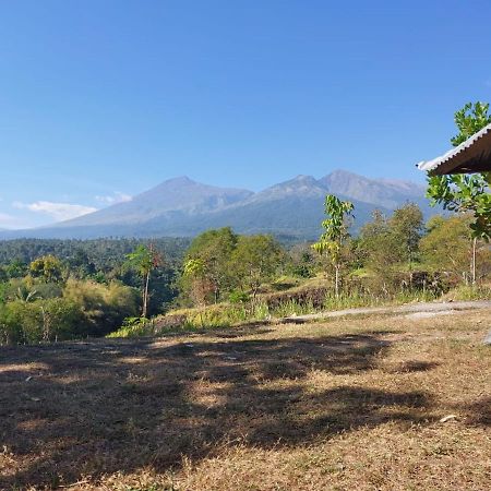 Arung Rinjani 호텔 세나루 외부 사진